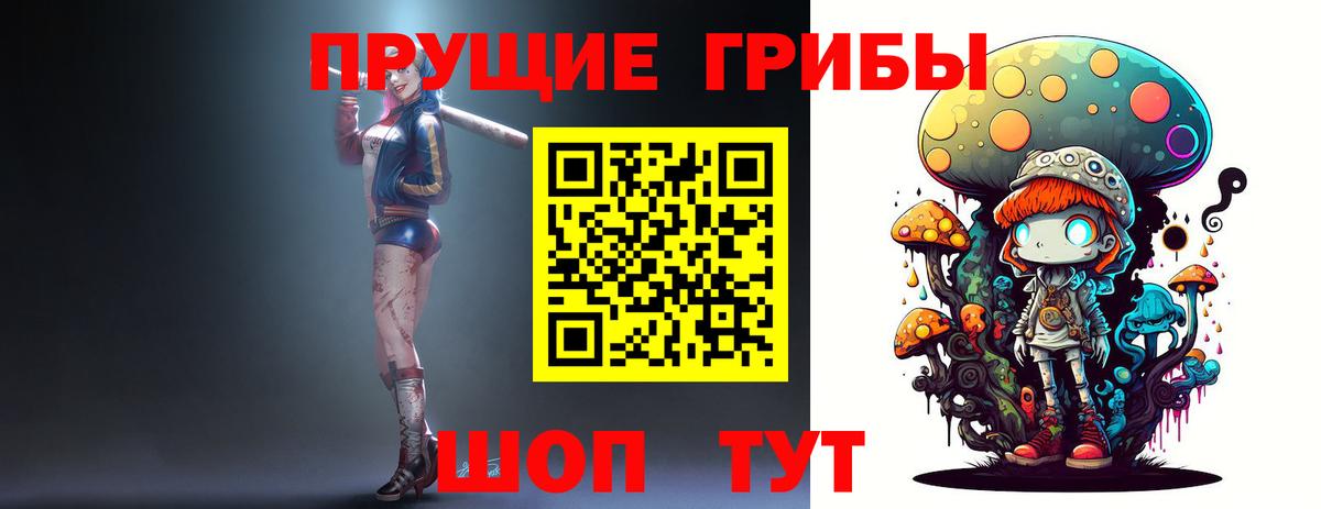 Галлюциногенные грибы прущие грибы  Вход с VPN  Шадринск 